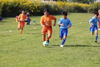 IMG_8112_R