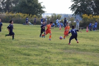 IMG_8232_R