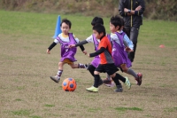 IMG_0017_R