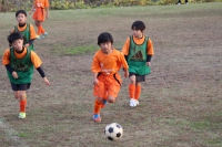 IMG_0208_R