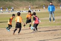 IMG_1223_R