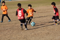 IMG_1244_R