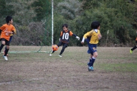 IMG_2037_R