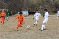 IMG_2993_R