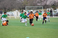 IMG_8258_R