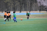 IMG_8379_R