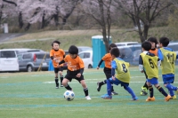 IMG_8852_R