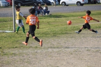 IMG_3337_R