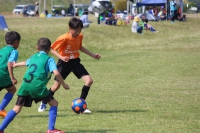 IMG_3485_R