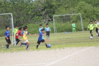 IMG_4584_R