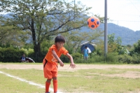 IMG_0393_R