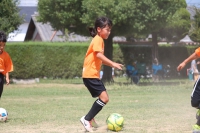IMG_6321_R