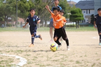 IMG_6523_R