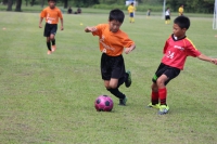 IMG_0886_R