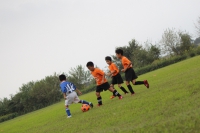 IMG_2464_R