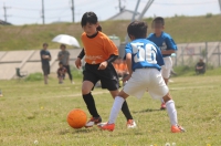 IMG_1312 (2)_R