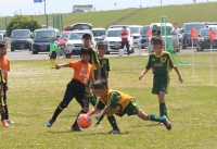 IMG_1781_R