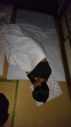 遠征_170731_0055_R