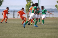 IMG_0476_R