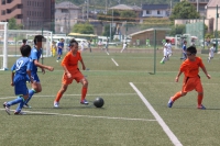 IMG_0786_R