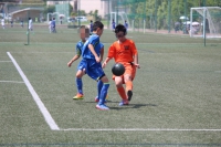 IMG_0817_R