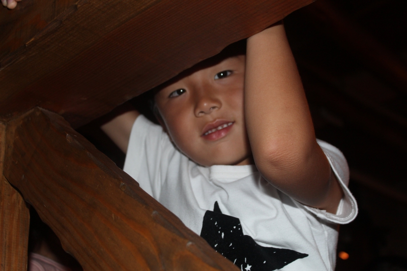 IMG_2274 (2)_R