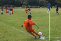 IMG_6312_R