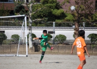 IMG_0362_R