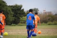 IMG_0871_R