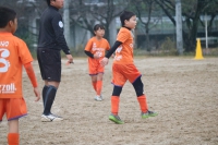 IMG_0108_R_R