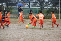 IMG_0216_R_R