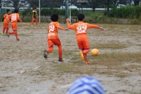 IMG_0237_R_R