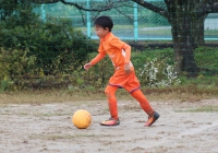 IMG_0243_R_R