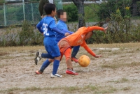 IMG_0360_R_R