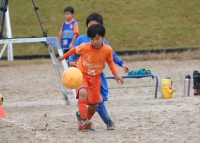 IMG_0374_R_R