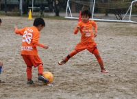 IMG_0650_R_R