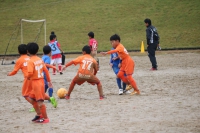 IMG_0789_R_R