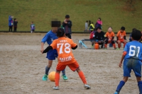 IMG_0885_R_R