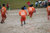 IMG_1254_R_R