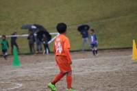 IMG_9933_R_R