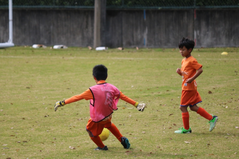 IMG_3437 (2)_R_R