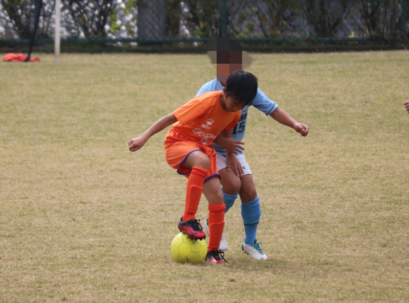 IMG_3460 (2)_R_R