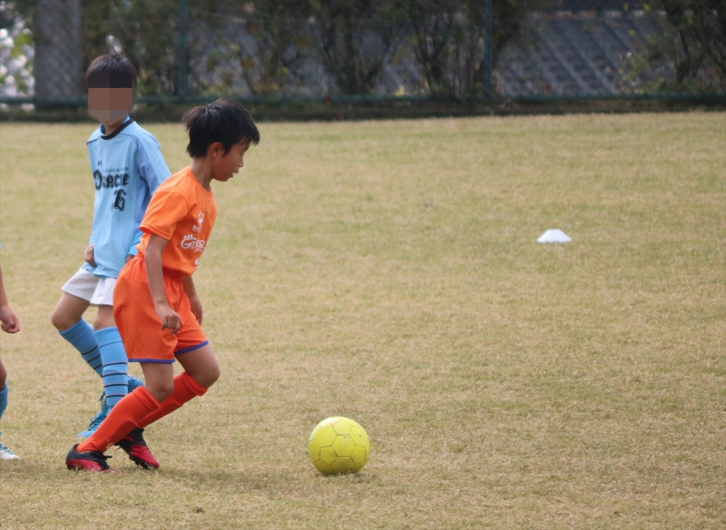IMG_3462 (2)_R_R