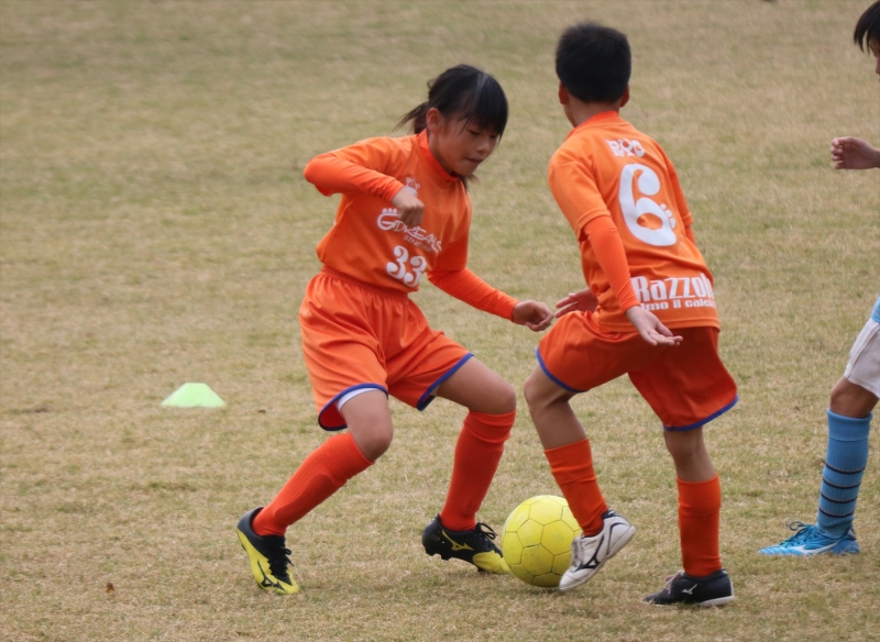 IMG_3486 (2)_R_R