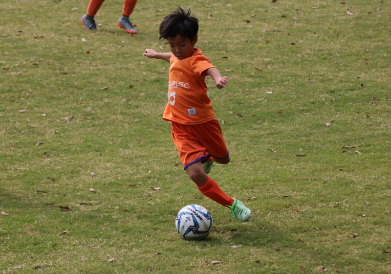 IMG_3583 (2)_R_R