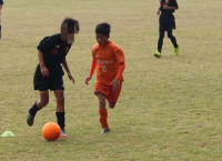 IMG_2661_R_R