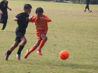 IMG_2868_R_R