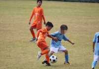 IMG_2949_R_R