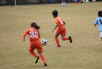 IMG_2957_R_R