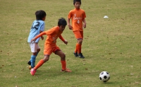 IMG_3041_R_R